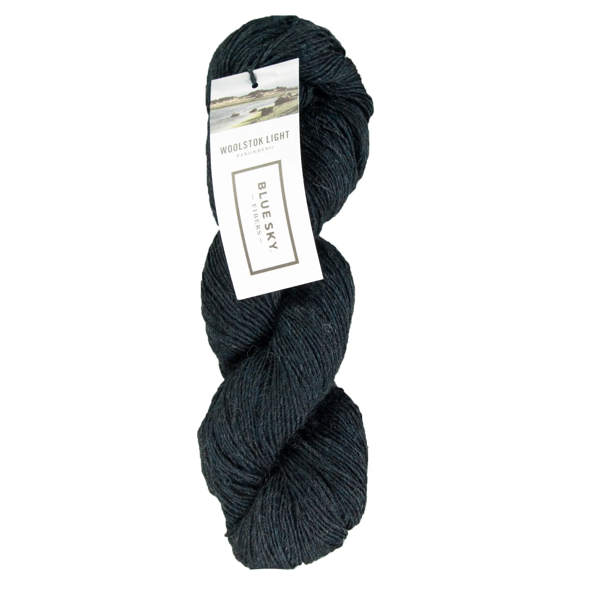 Blue Sky Fibers Woolstok Light Yarn - 2317 Midnight Sea