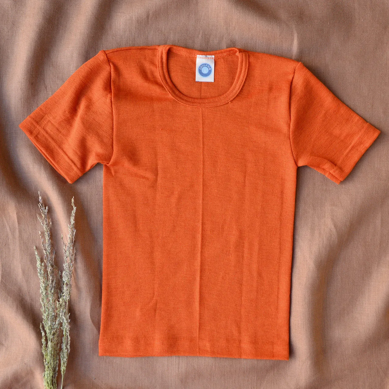 Child's T-Shirt - Organic Merino/Silk (1-12y)