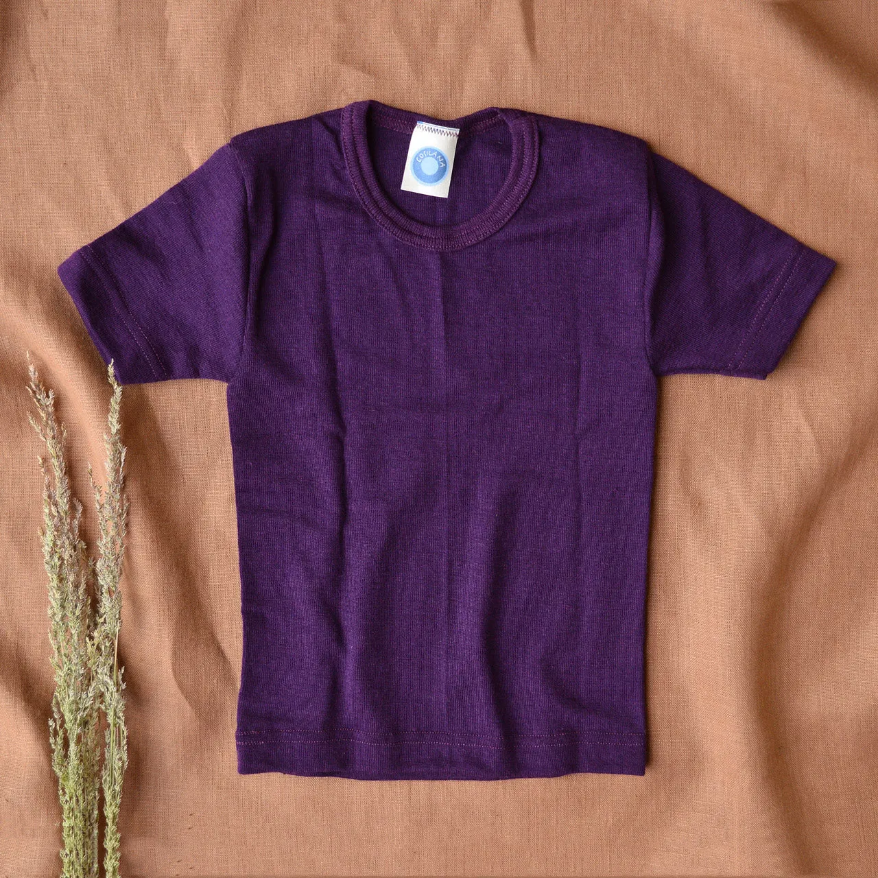 Child's T-Shirt - Organic Merino/Silk (1-12y)