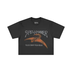 Spelljammer Cropped Gray Tee